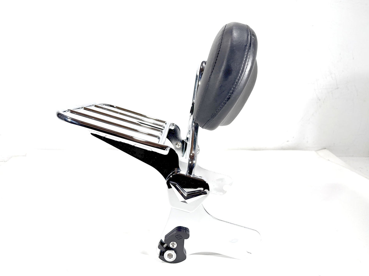 2004 Harley Road King Touring Classic OEM Rear Sissy Bar w/ Backrest Cushion Pad
