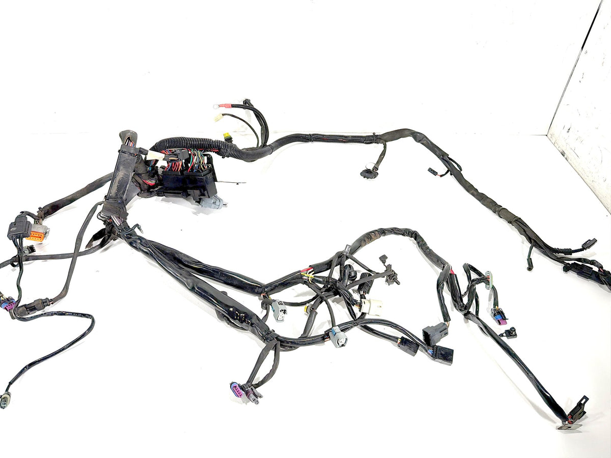 2008 Harley Softail Custom FXSTC OEM Main Wire Wiring Harness Loom