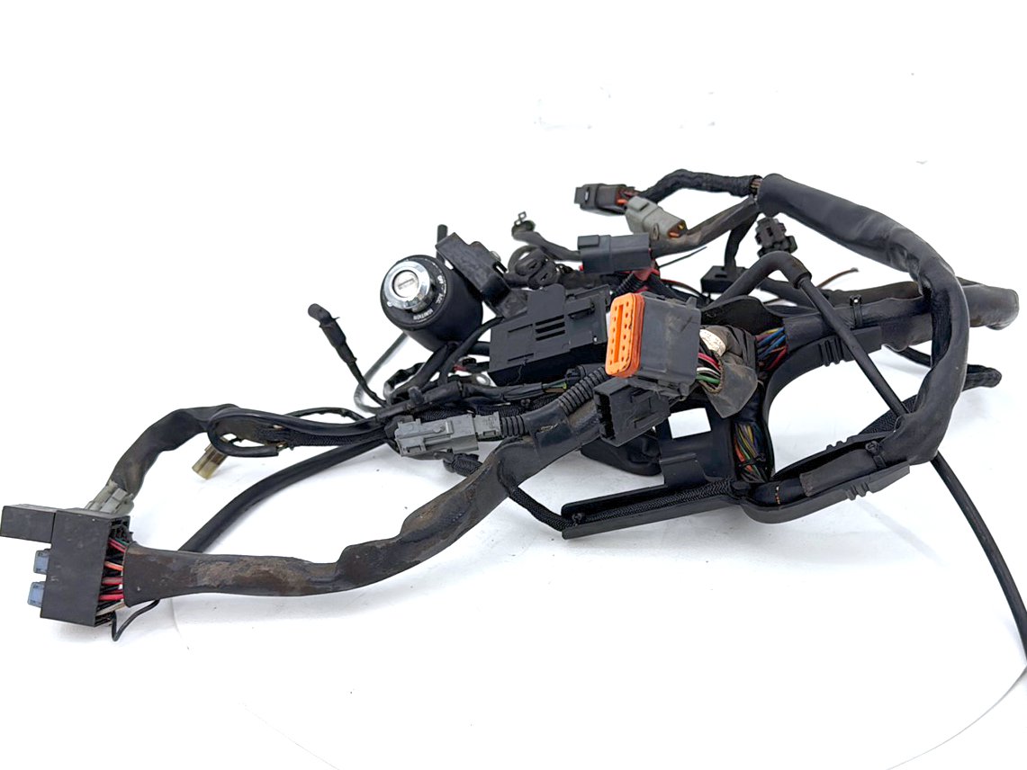 2004 - 2013 Harley-Davidson Sportster 883 Custom Main Wire Wiring Harness Ignition Switch NOKey 70139-06