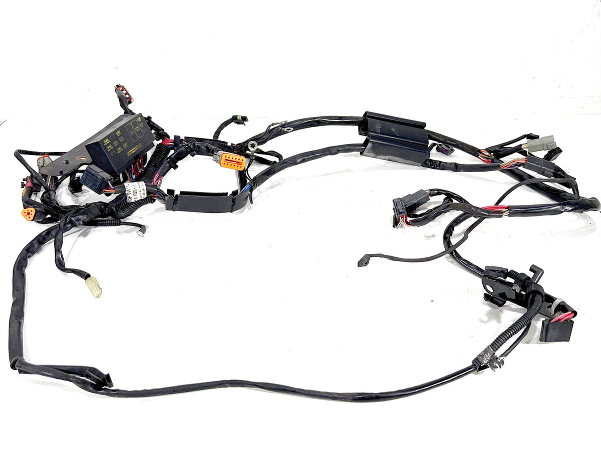 2001 Harley Softail Standard FXST OEM Main Wire Wiring Harness Loom CARB