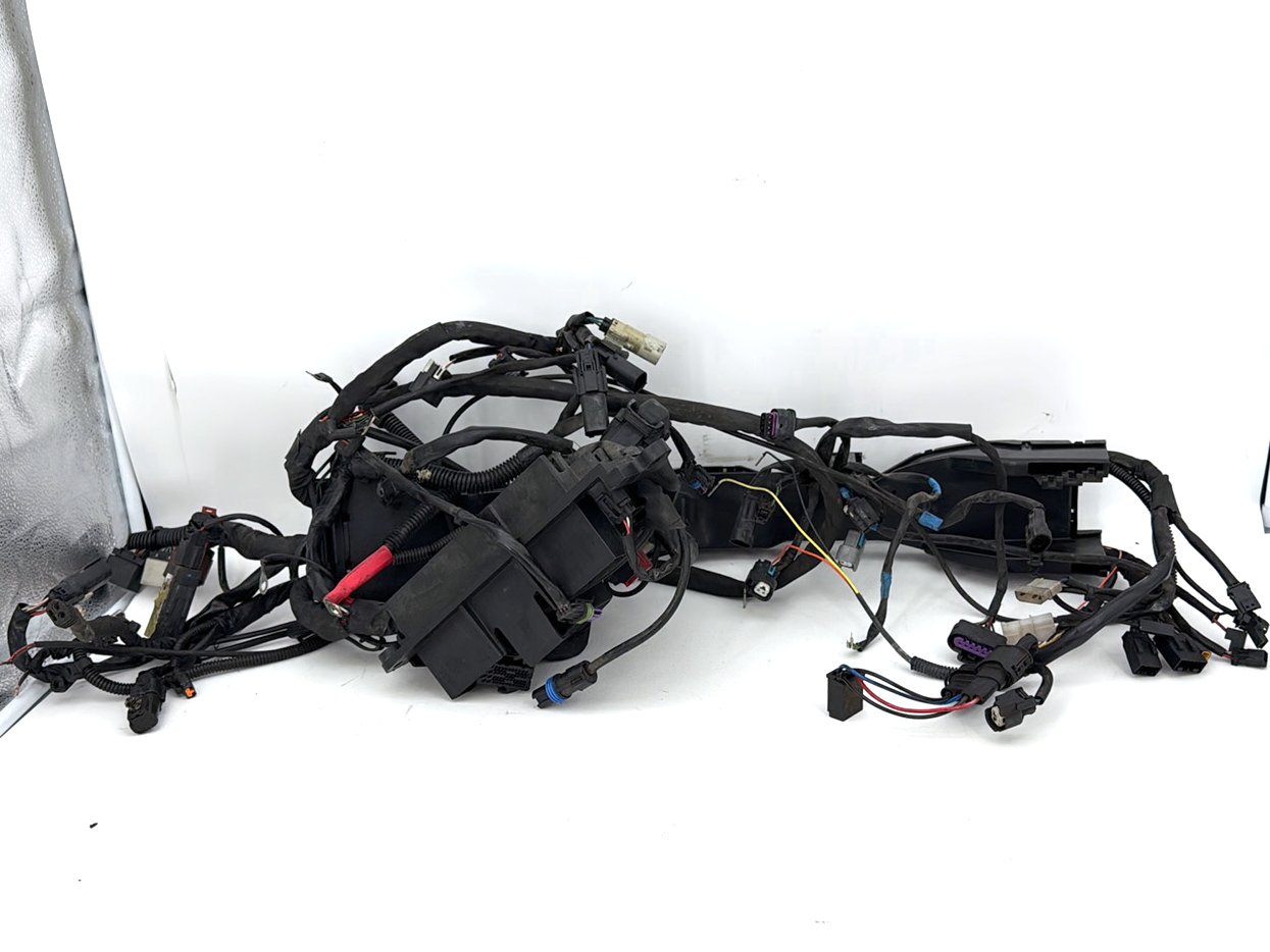 2019 - 2023 Harley-Davidson Touring Road King Special Main Wire Wiring Harness Loom ABS 69201124A