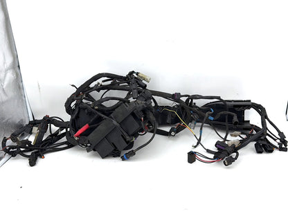 2019 - 2023 Harley-Davidson Touring Road King Special Main Wire Wiring Harness Loom ABS 69201124A