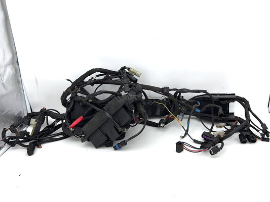 2019 - 2023 Harley-Davidson Touring Road King Special Main Wire Wiring Harness Loom ABS 69201124A