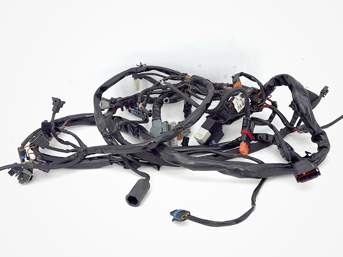 1999 - 2006 Harley-Davidson Dyna Low Rider Main Wire Wiring Harness Loom 69602-04A