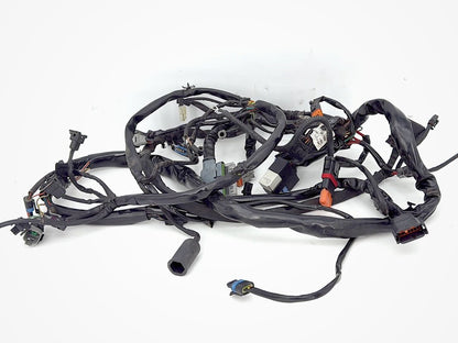 1999 - 2006 Harley-Davidson Dyna Low Rider Main Wire Wiring Harness Loom 69602-04A
