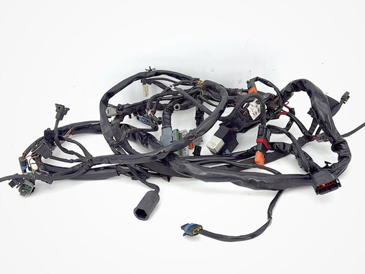 1999 - 2006 Harley-Davidson Dyna Low Rider Main Wire Wiring Harness Loom 69602-04A