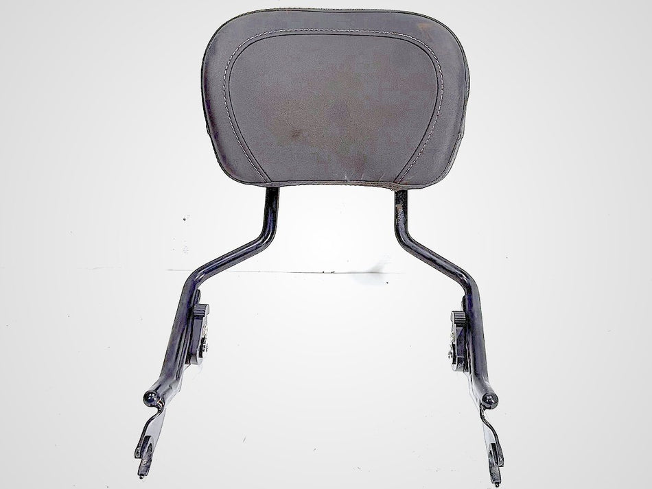 2022 Harley Road King Touring FLHR OEM Rear Sissy Bar w/ Backrest Cushion Pad