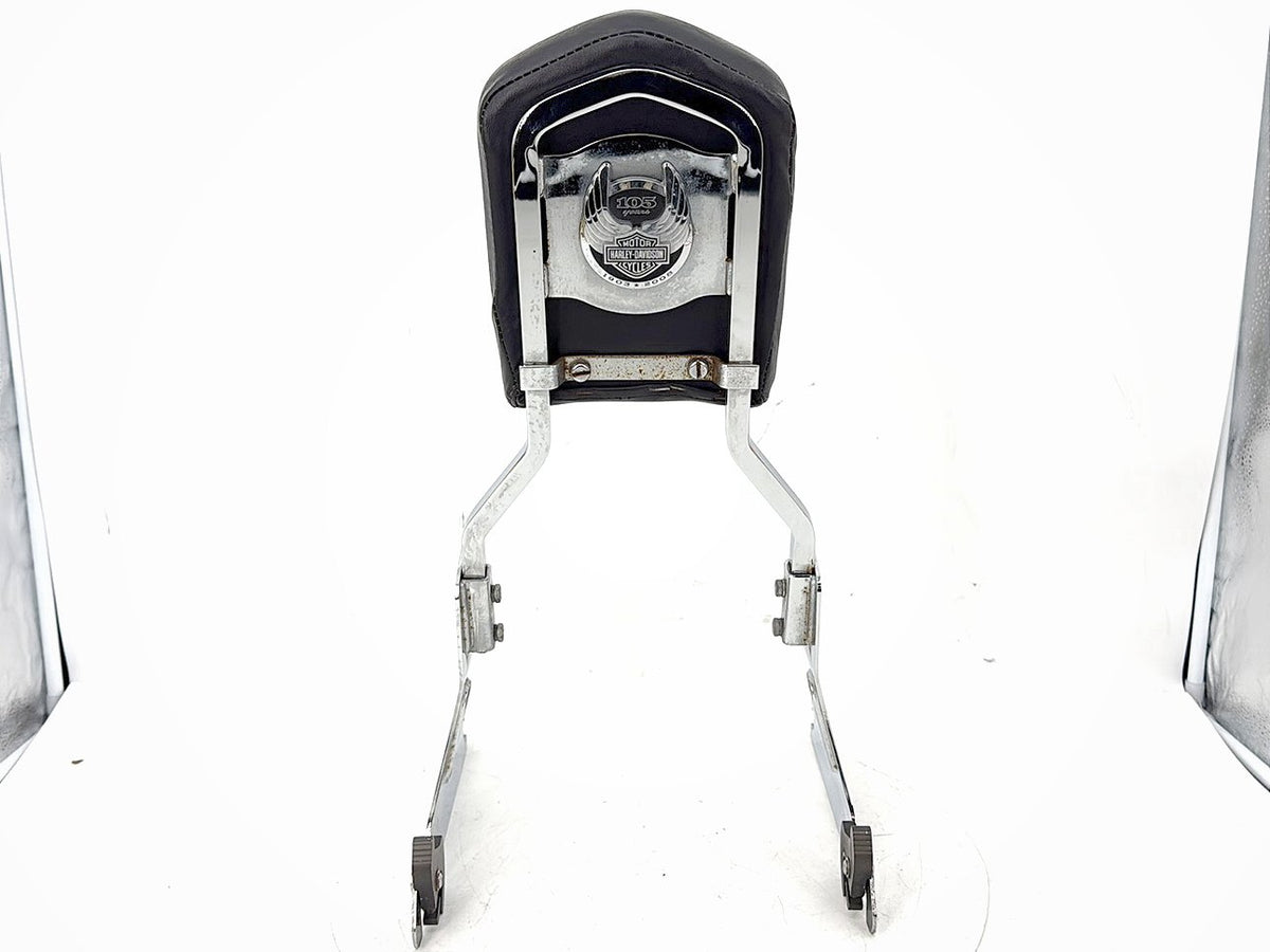 2009 Harley Dyna FXD Super Glide OEM Rear Sissy Bar w/ Backrest Cushion Pad