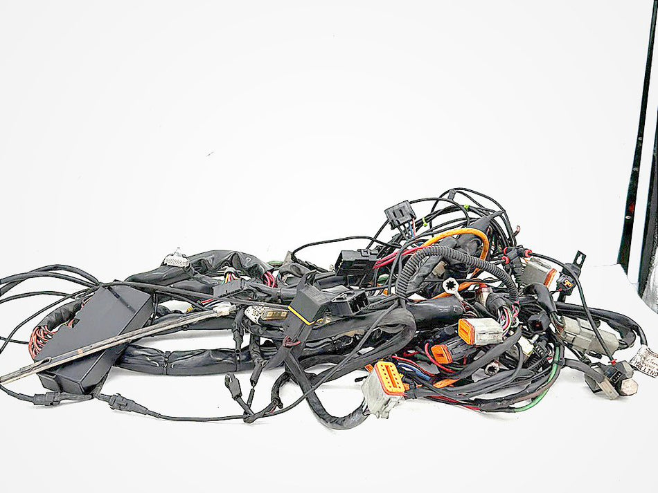 2001 Harley Electra Glide Touring FLHT OEM Main Wire Wiring Harness Loom CARB