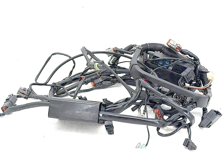 2003 Harley Softail Deuce FXSTD OEM Main Wire Wiring Harness Loom CARB