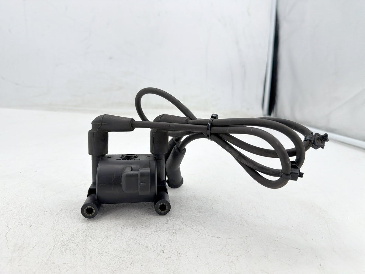 2011 Harley Road King Touring FLHR OEM Ignition Coil Spark Plugs Cable