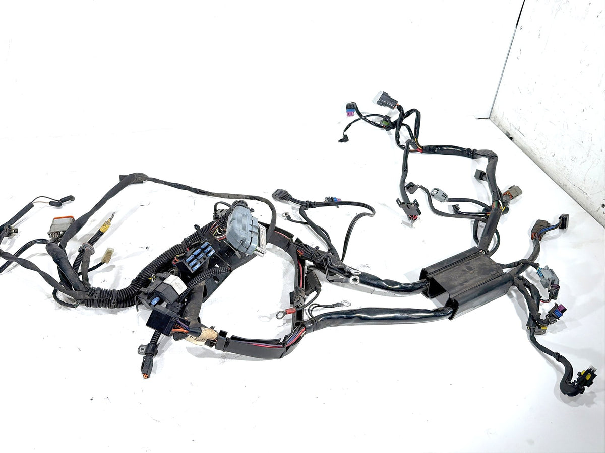 2006 Harley Softail Deuce FXSTDI OEM Main Wire Wiring Harness Loom EFI