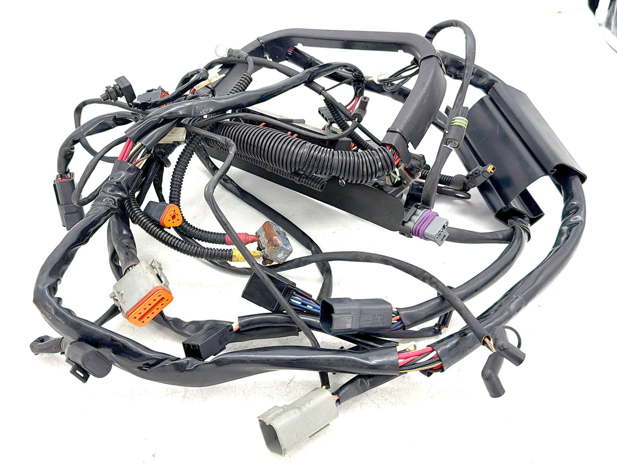 2001 Harley Softail Deuce FXSTD OEM Main Wire Wiring Harness Loom CARB