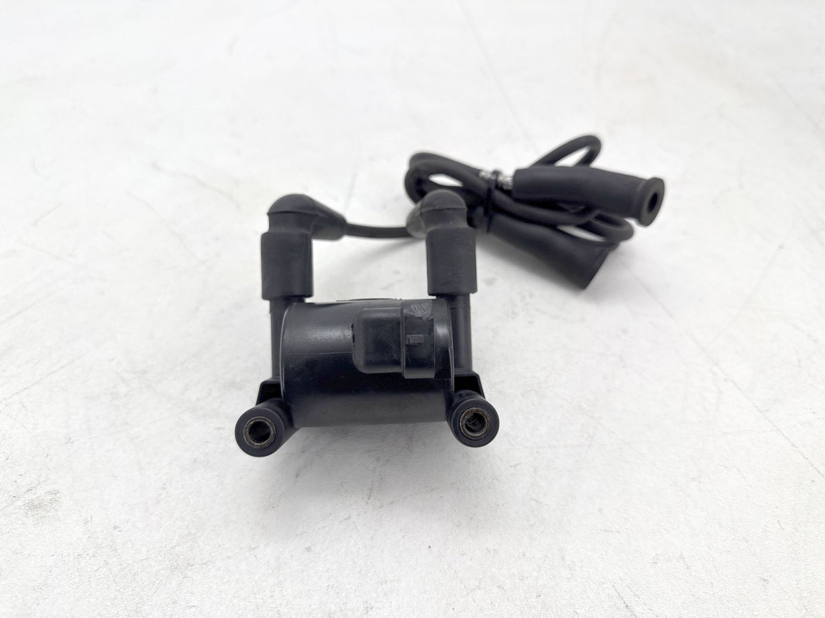 2009 Harley Electra Glide Touring Ultra OEM Ignition Coil Spark Plugs Cable