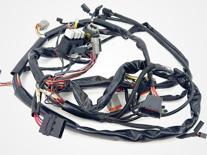 1999 - 2006 Harley-Davidson Dyna Low Rider Main Wire Wiring Harness Loom