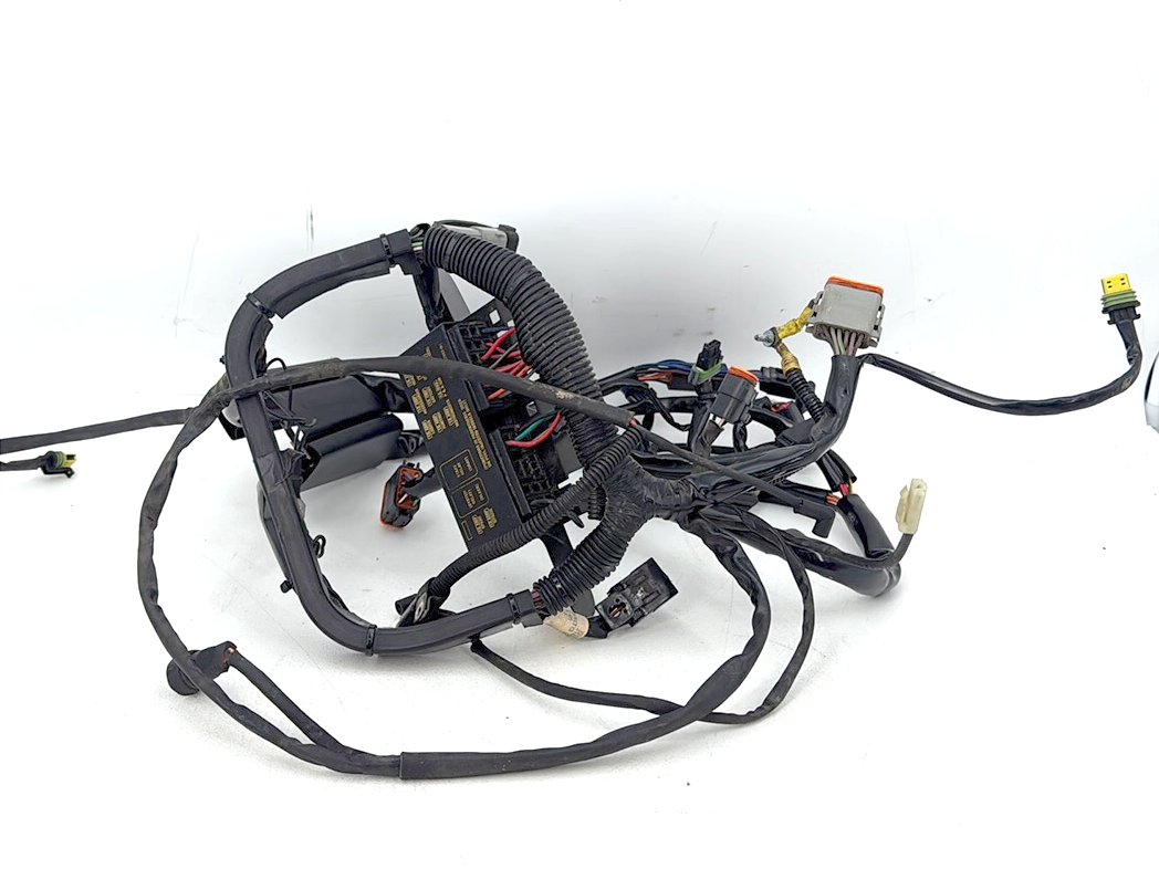 1999 - 2006 Harley-Davidson Softail Heritage Main Wire Wiring Harness Loom 70216-06