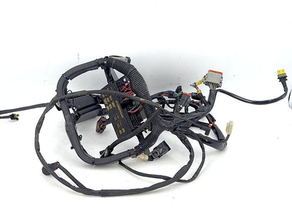 1999 - 2006 Harley-Davidson Softail Heritage Main Wire Wiring Harness Loom 70216-06