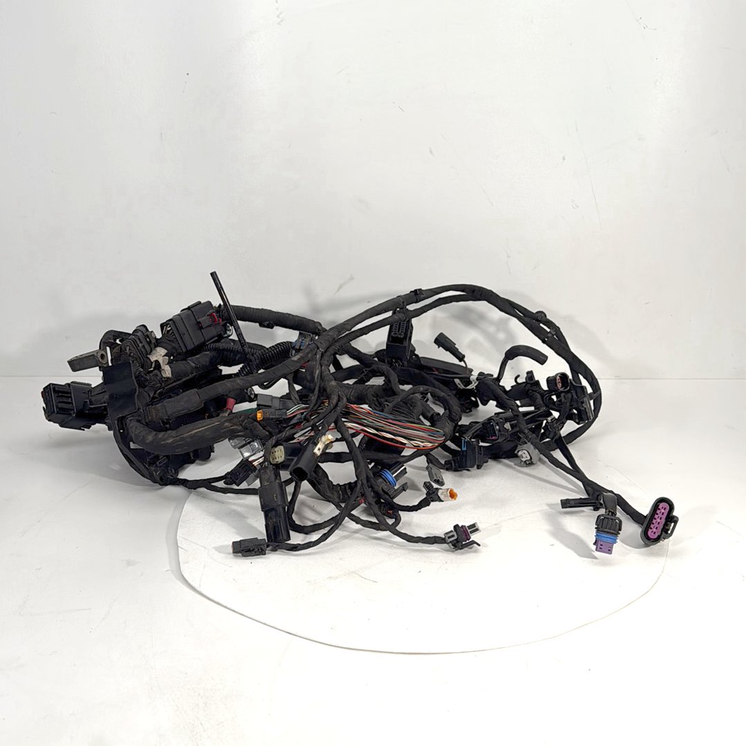 2017 - 2026 Harley-Davidson Softail Heritage Classic 114 Main Wire Wiring Harness Loom ABS 69201492