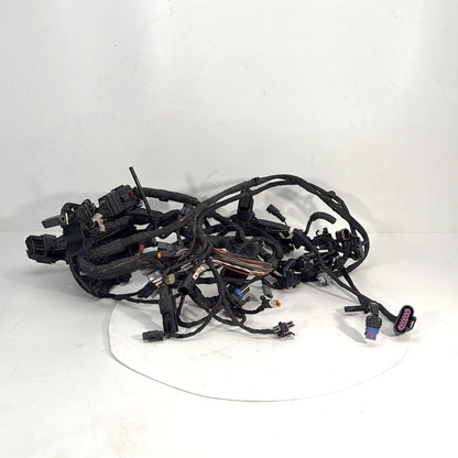 2017 - 2026 Harley-Davidson Softail Heritage Classic 114 Main Wire Wiring Harness Loom ABS 69201492