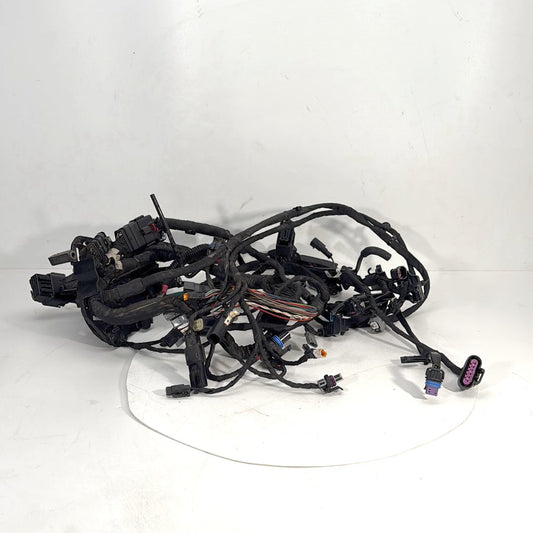 2017 - 2026 Harley-Davidson Softail Heritage Classic 114 Main Wire Wiring Harness Loom ABS 69201492