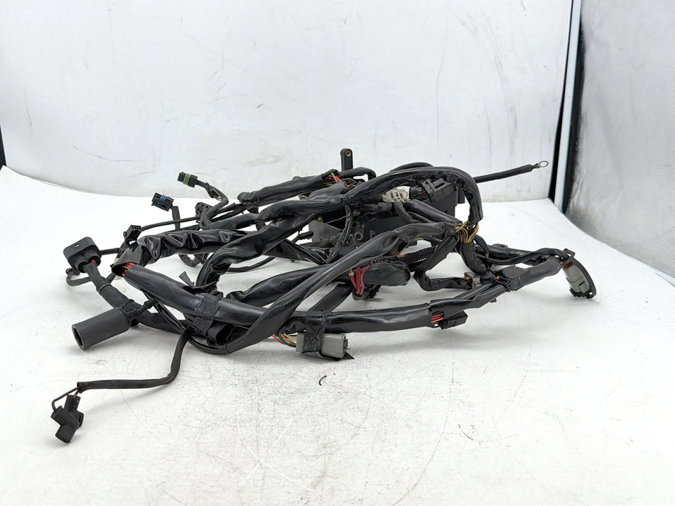2005 Harley Dyna Wide Glide FXDWG OEM Main Wire Wiring Harness Loom
