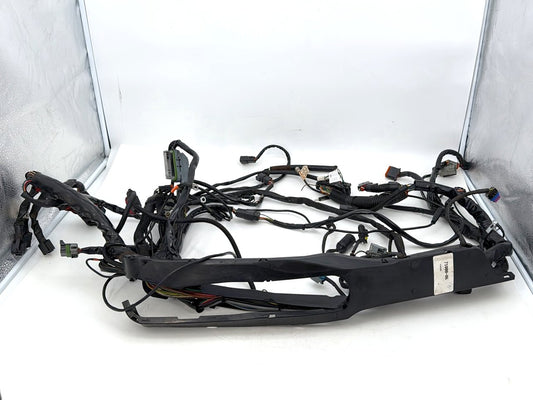 1999 - 2006 Harley-Davidson Touring Electra Glide Ultra Main Wire Wiring Harness Loom 71000-06