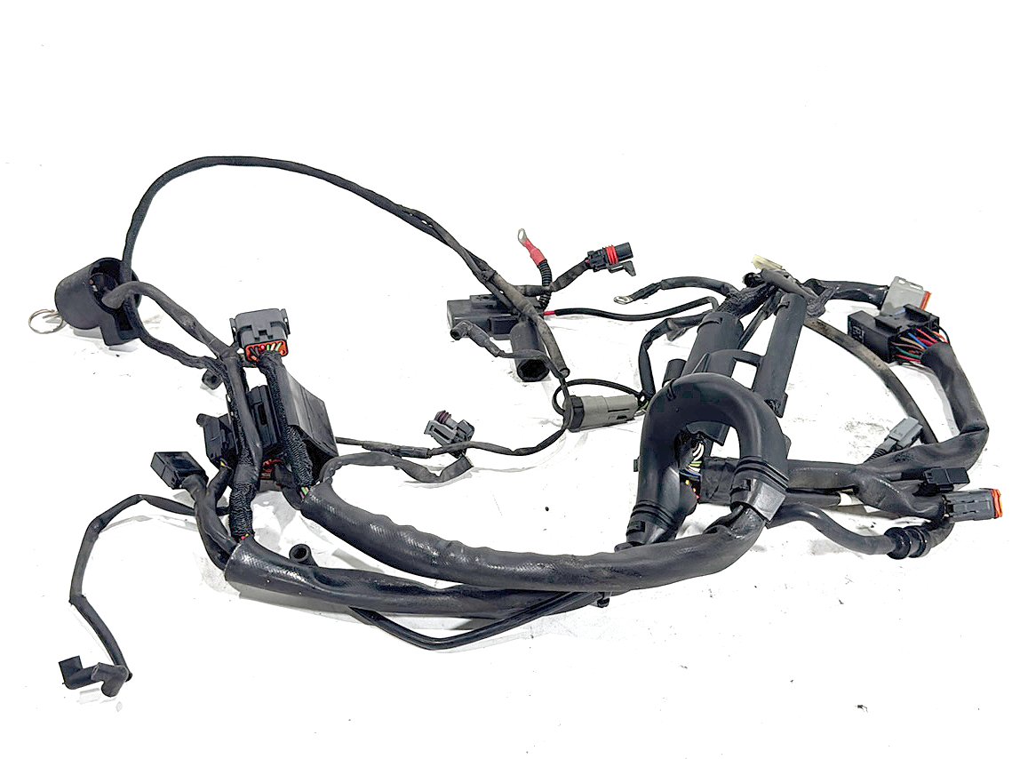 2006 Harley Sportster 1200 Custom XL1200C OEM Main Wire Wiring Harness Ignition Switch & Key