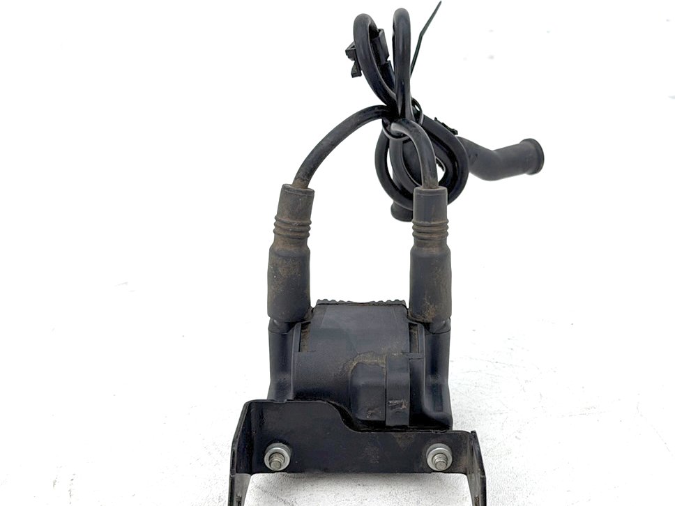 1999 - 2006 Harley-Davidson Touring Electra Glide Ultra Ignition Coil Spark Plugs Cable 31743-01
