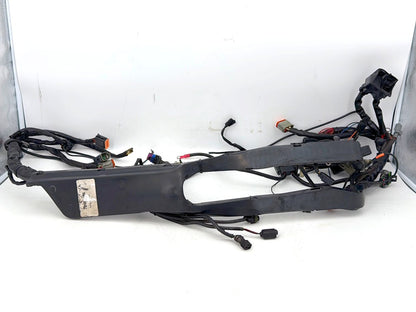 1999 - 2006 Harley-Davidson Touring Electra Glide Main Wire Wiring Harness Loom 70985-06