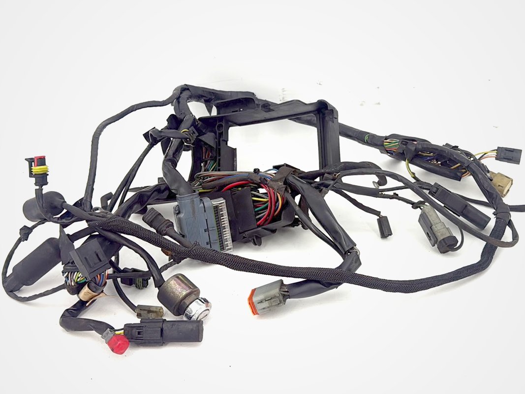 2004 - 2022 Harley-Davidson Sportster 1200 Nightster Main Wire Wiring Harness Ignition Switch NOKey 70181-10