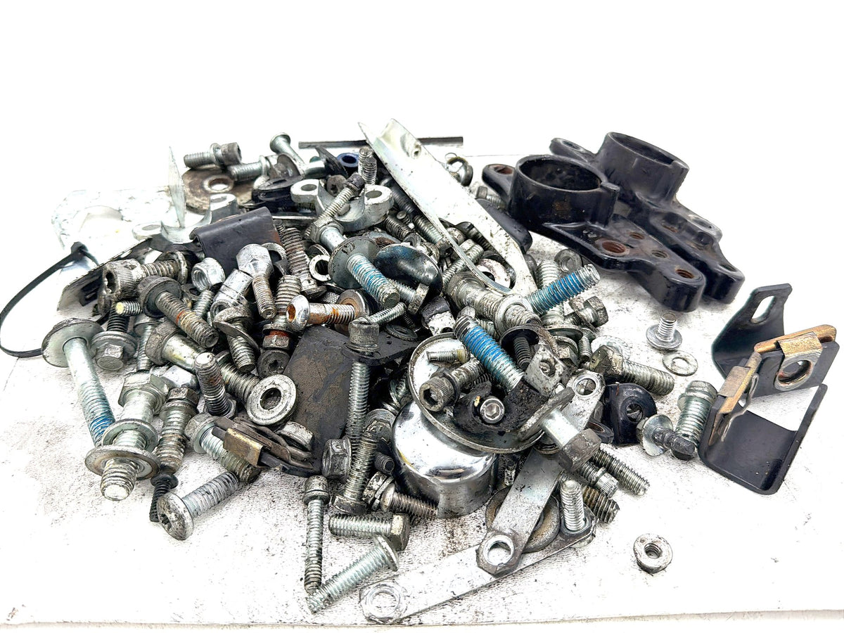 2007 Harley Electra Glide Touring CVO Eagle OEM Hardware Bolts Nuts & Brackets