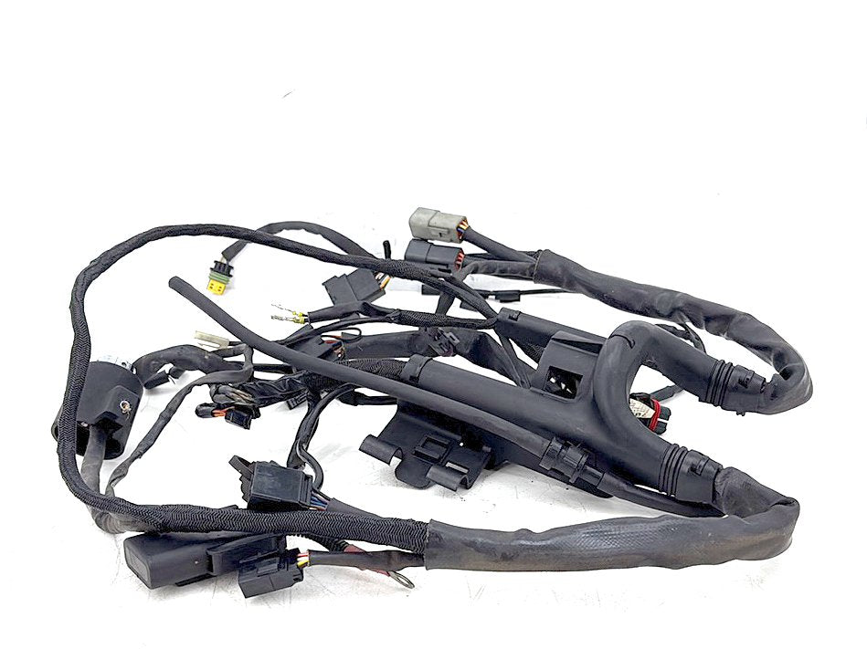 2006 Harley Sportster XL883L Low Main Wire Wiring Harness Ignition Switch NOKey