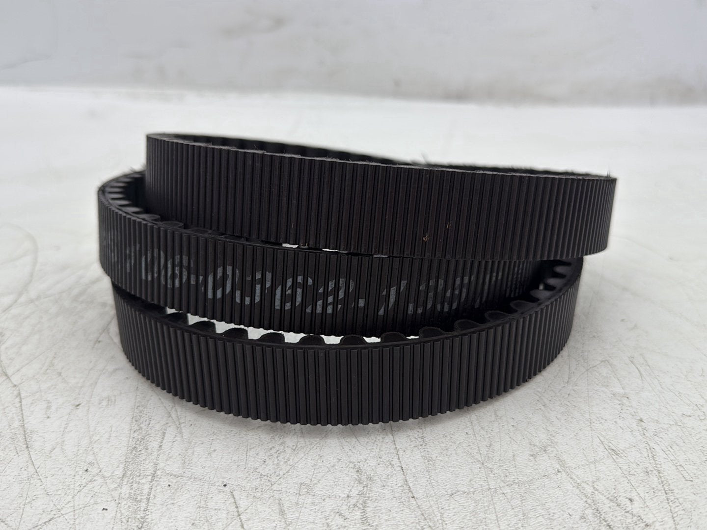 2004 Harley Sportster XL883C 883 Custom OEM Rear Drive Belt