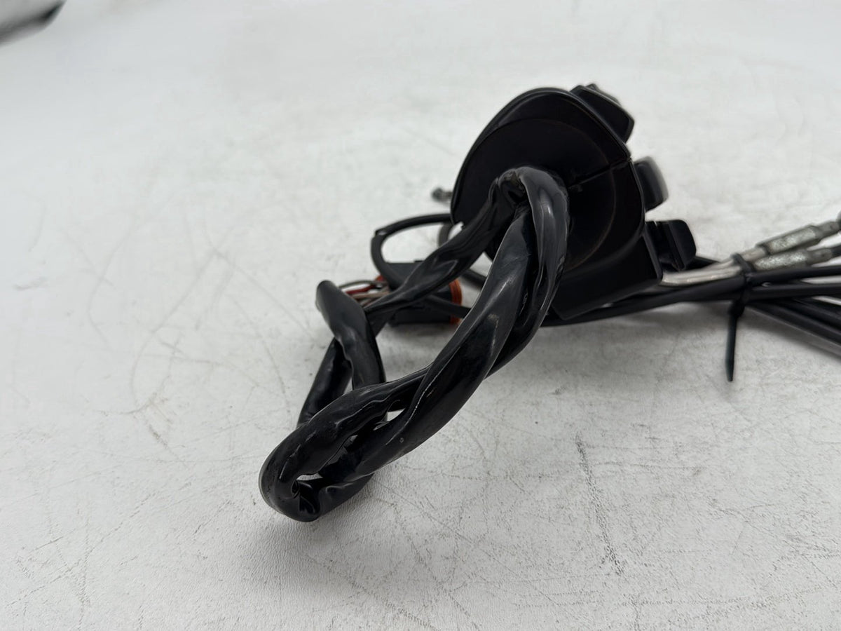 2000 Harley Electra Glide Touring OEM Right Engine Start Kill Switches Controls