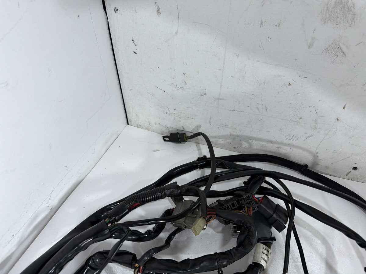2004 Harley Electra Glide Touring Ultra OEM Main Wire Wiring Harness Loom