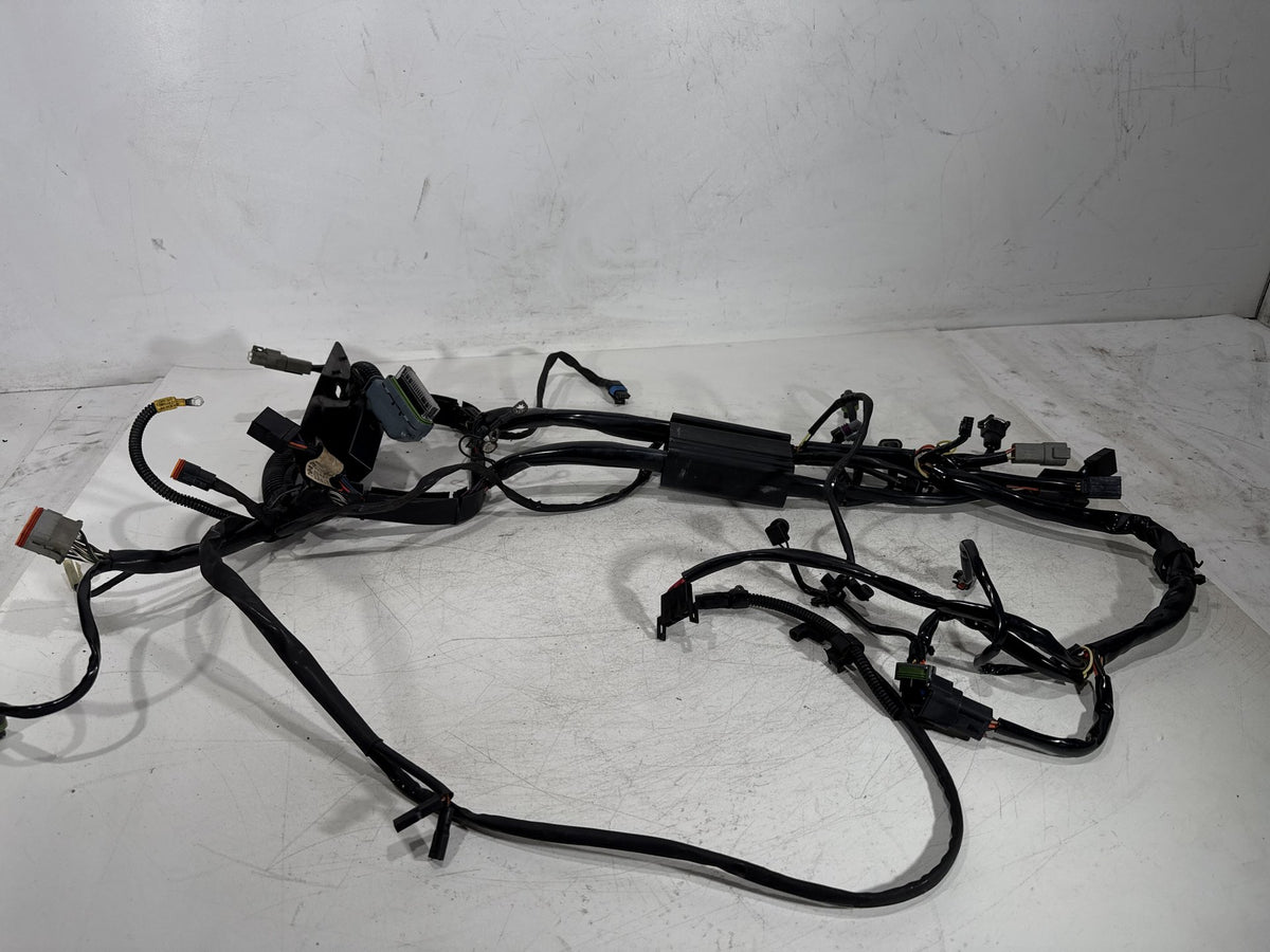 04 Harley Heritage Softail Classic FLSTCI OEM Main Wire Wiring Harness Loom EFI