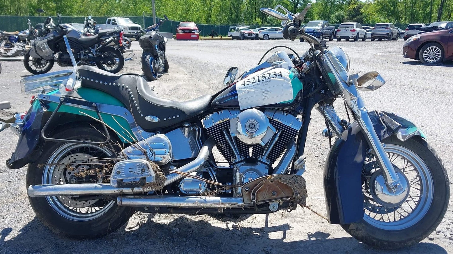 20021999-2006 Harley-Davidson Heritage Softail Classic FLSTC