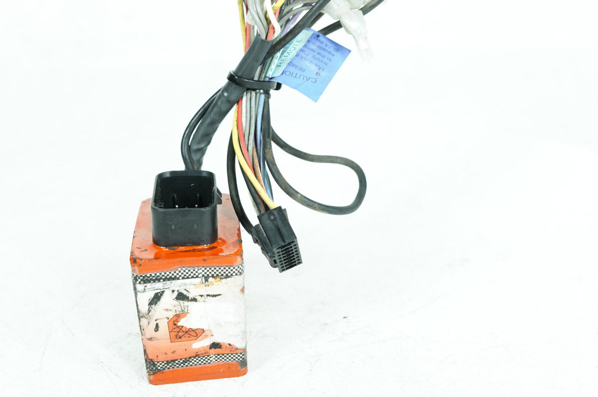 1999 - 2006 Harley-Davidson Touring Electra Glide Electronic Box Wiring Cable Connector