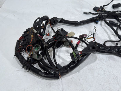 2003 Harley Road King Touring FLHRCI Classic OEM Main Wire Wiring Harness Loom