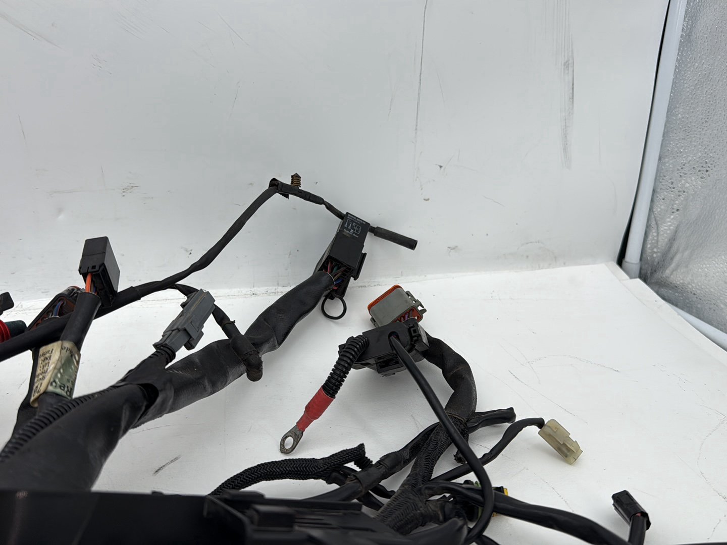 2006 Harley Sportster XL883C 883 Custom OEM Main Wire Wiring Harness Ignition Switch NOKey