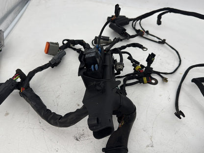 2009 Harley Sportster XL1200 1200 Main Wire Wiring Harness Ignition Switch NOKey