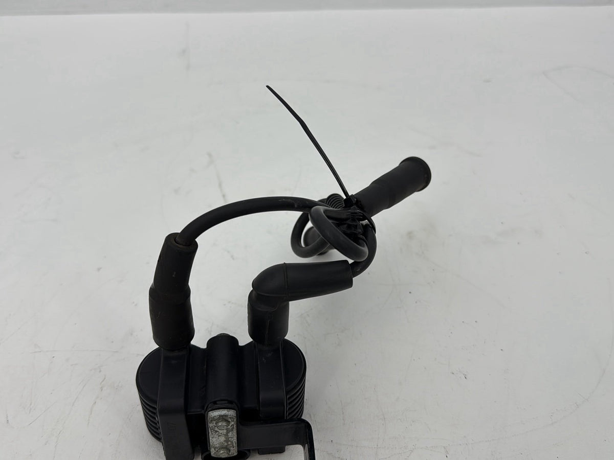 2009 Harley Sportster XL1200C 1200 Custom OEM Ignition Coil Spark Plugs Cable