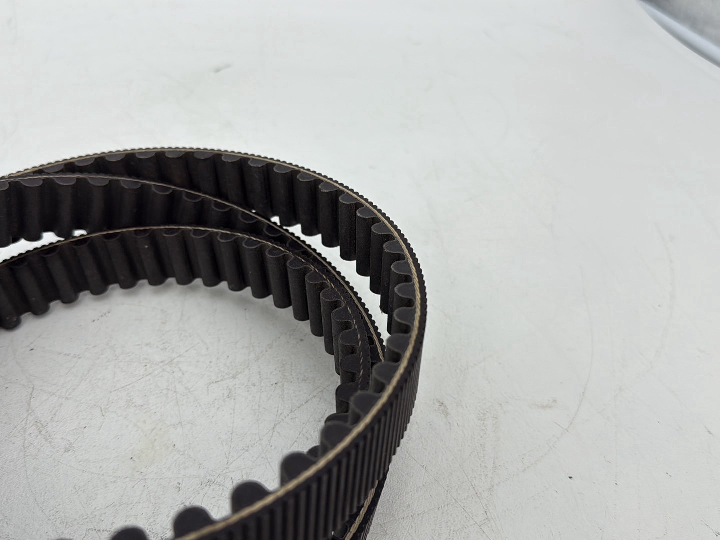 2006 Harley Sportster XL883C 883 Custom OEM Rear Drive Belt