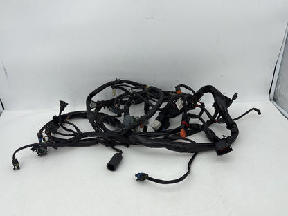 1999 - 2006 Harley-Davidson Dyna Low Rider Main Wire Wiring Harness Loom 69602-04A