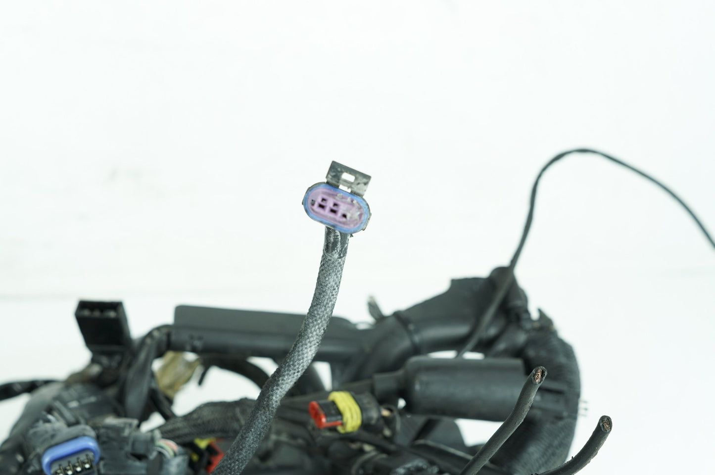 2004 - 2022 Harley-Davidson Sportster Custom Anniversary Main Wire Wiring Harness Loom 70181-08