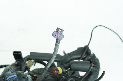 2004 - 2022 Harley-Davidson Sportster Custom Anniversary Main Wire Wiring Harness Loom 70181-08