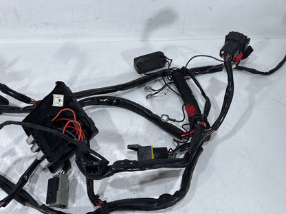 1998 Harley Softail Custom FXSTC OEM Main Wire Wiring Harness Loom