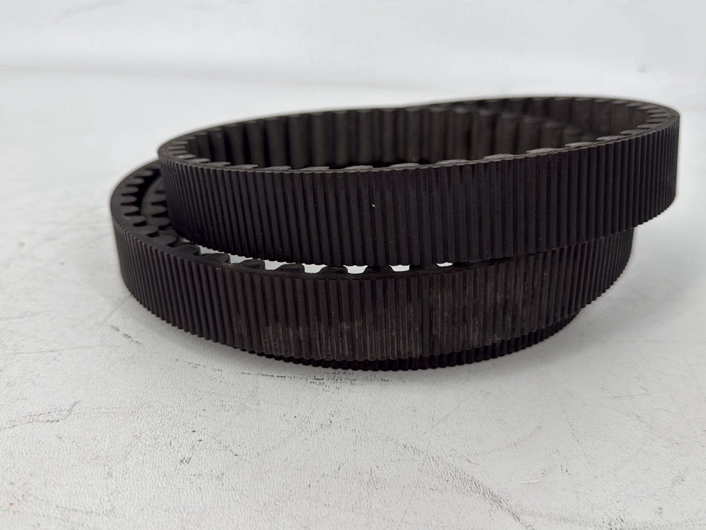 2005 Harley Sportster XL883C 883 Custom OEM Rear Drive Belt