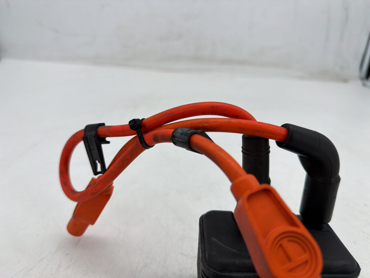 2002 Harley Electra Glide Touring FLHT OEM Ignition Coil Spark Plugs Cable