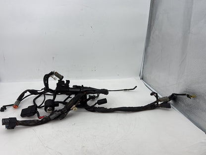 2004 - 2013 Harley-Davidson Sportster 1200 Custom Main Wire Wiring Harness Ignition Switch NOKey 70139-06